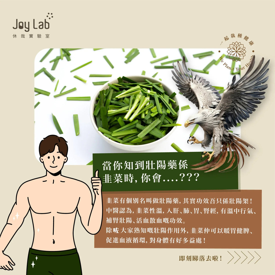 冬日養生必備——韭菜的暖身食療與薑艾包推薦 - Joy Lab Limited